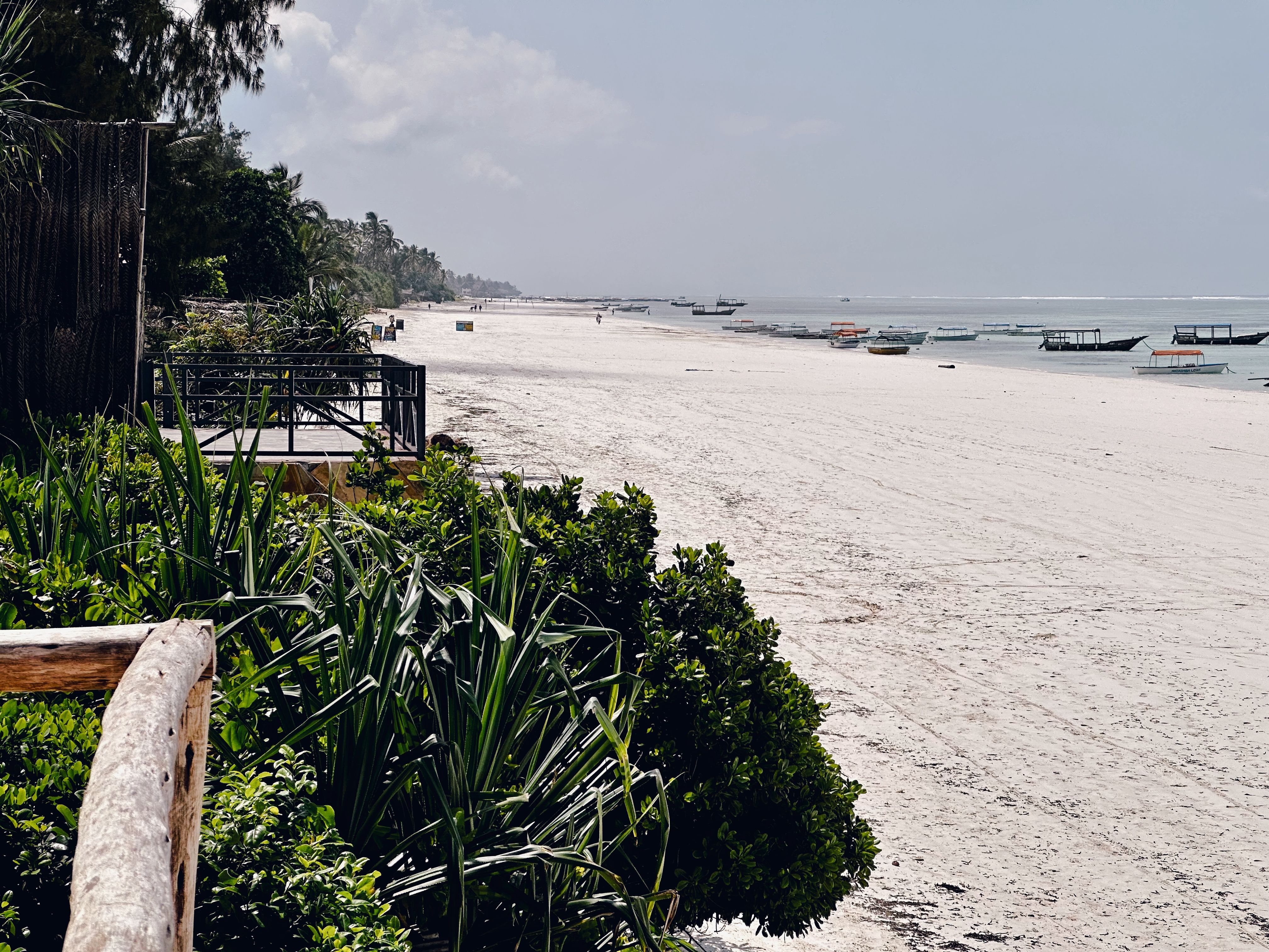 A line of local fishing and excursion boats moored on the low-tide flats along the Matemwe shore, looking out toward the reef on Zanzibar's northeast coast, with palms and a beachfront deck in the foreground.