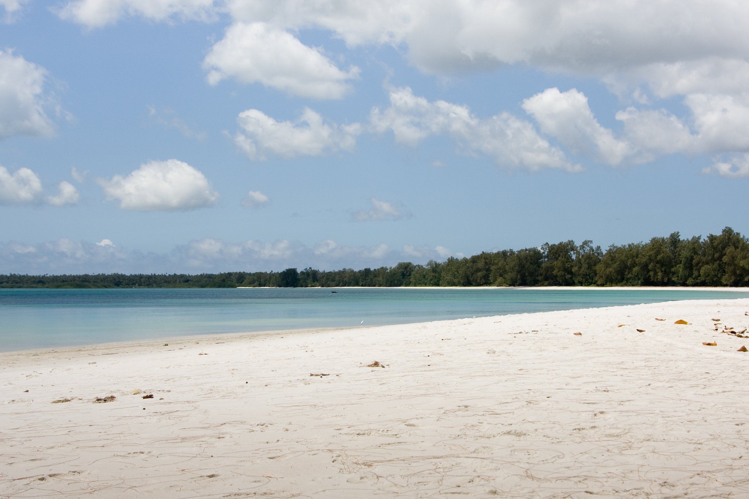 A wide, empty white-sand beach at Vumawimbi on Pemba's north coast, turquoise water and a tree-lined shore under a big sky, the quiet, undeveloped kind of beach Pemba is known for.