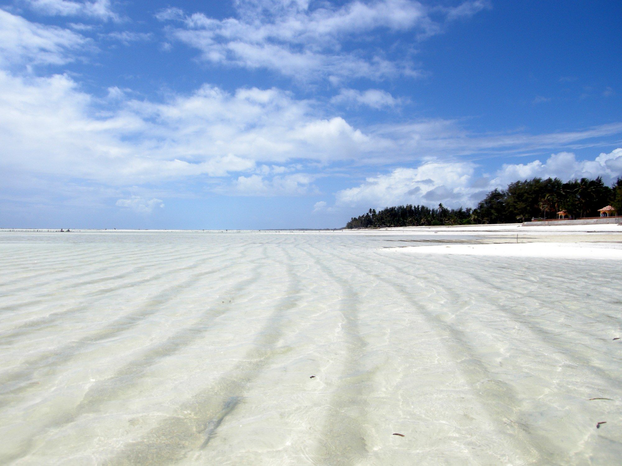 A wide, bright white-sand Zanzibar beach at low tide with shallow rippled water, palm trees along the shore, and a blue sky with scattered clouds