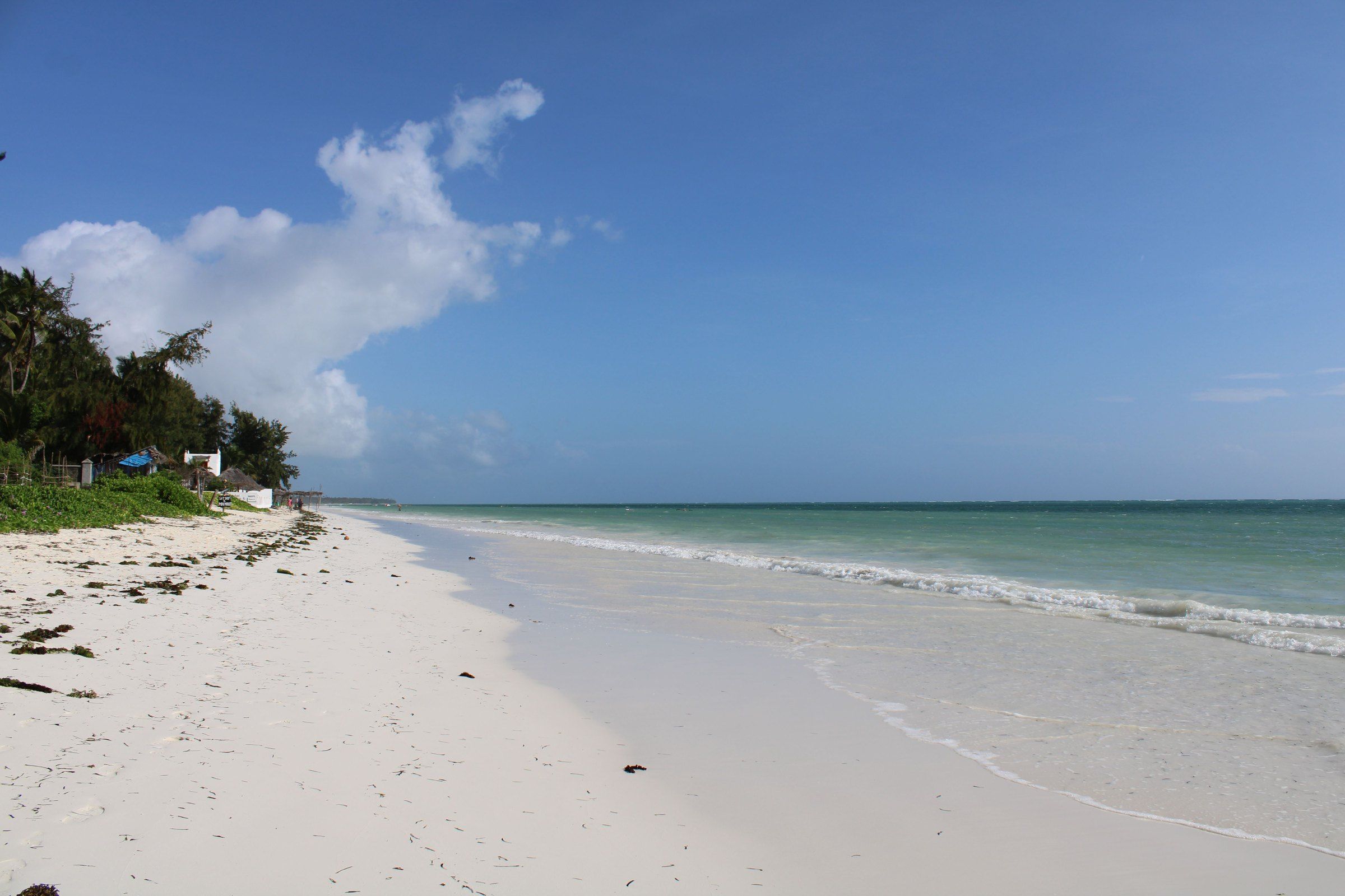 A quiet Zanzibar beach with soft white sand and calm, shallow turquoise water lapping the shore, palm trees and thatched huts along the tree line under a clear blue sky.