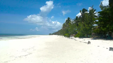 Wide, near-empty white-sand beach at Uroa on Zanzibar's east coast at low tide, turquoise shallows on the left and a thick line of coconut palms along the shore on the right.