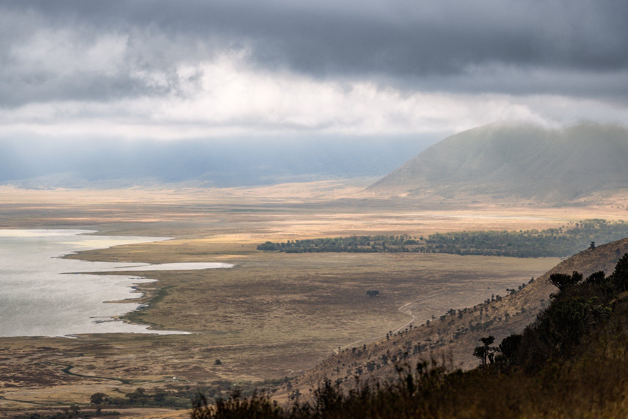 The Ngorongoro Crater in northern Tanzania, the wildlife-packed caldera that anchors the safari half of a ten-day bush-and-beach trip before you fly to Zanzibar.