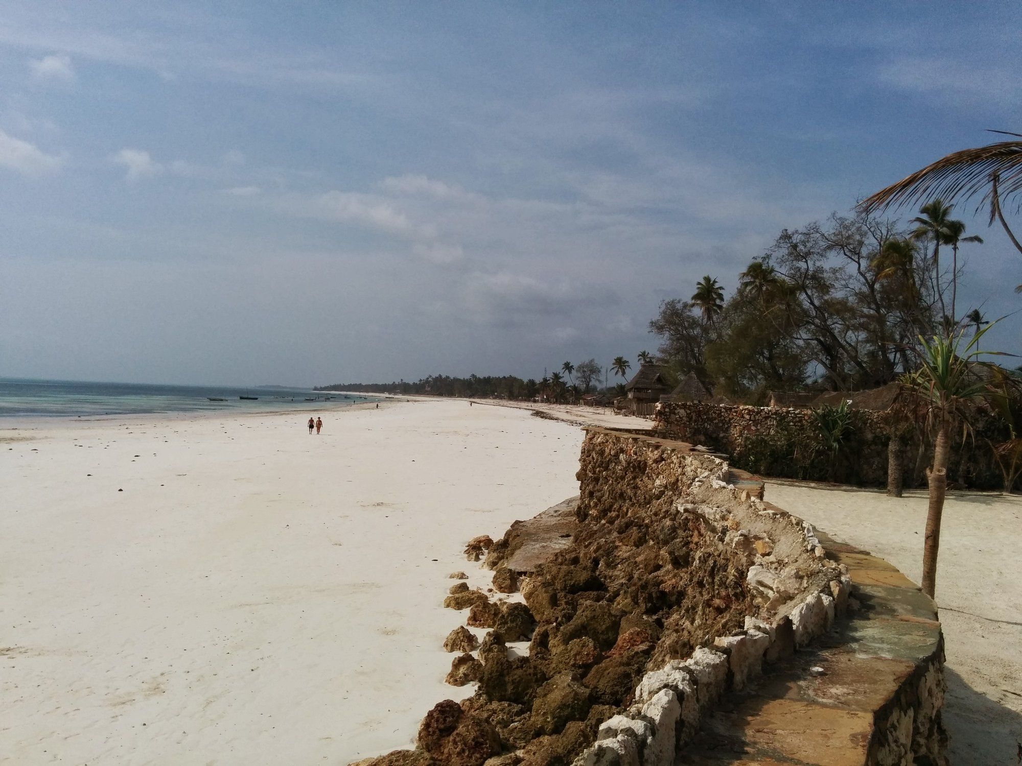 A wide, quiet white-sand beach at Uroa on Zanzibar's east coast, a low coral-rag sea wall and palms along the shore, the kind of slow, empty stretch a week gives you time to enjoy.
