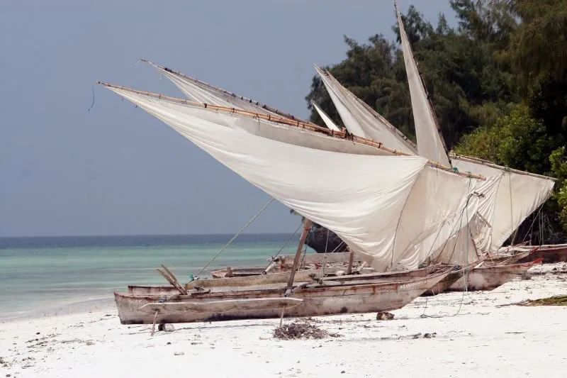 Traditional wooden sailing boats with lateen sails beached on the white sand off Pemba, sails up and no one around.