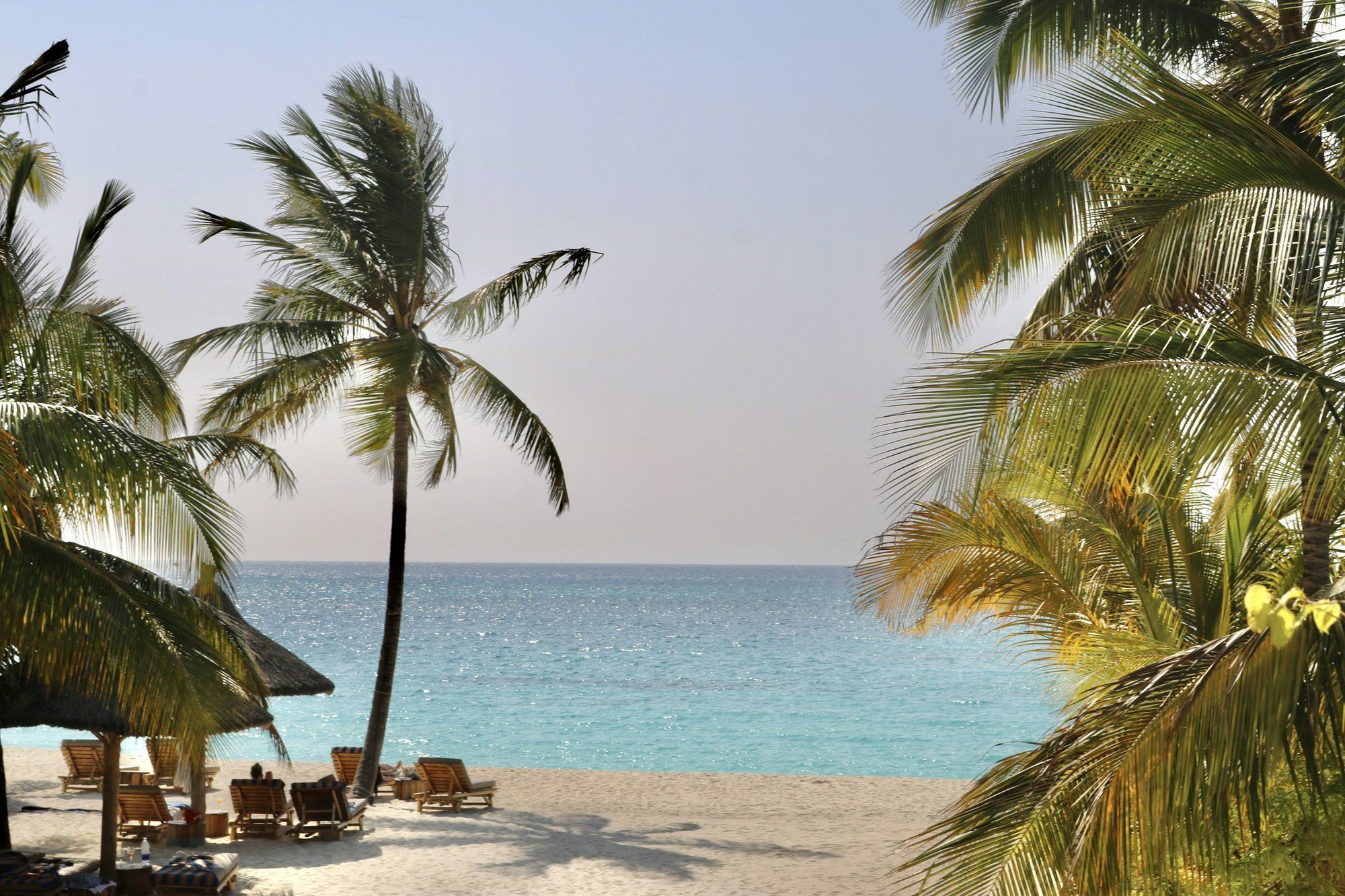 Wooden sun loungers and a thatched shade umbrella under leaning coconut palms on a resort beach on Zanzibar's northeast coast, the built-up strip around Kiwengwa set up for a book-it-and-forget-it stay.
