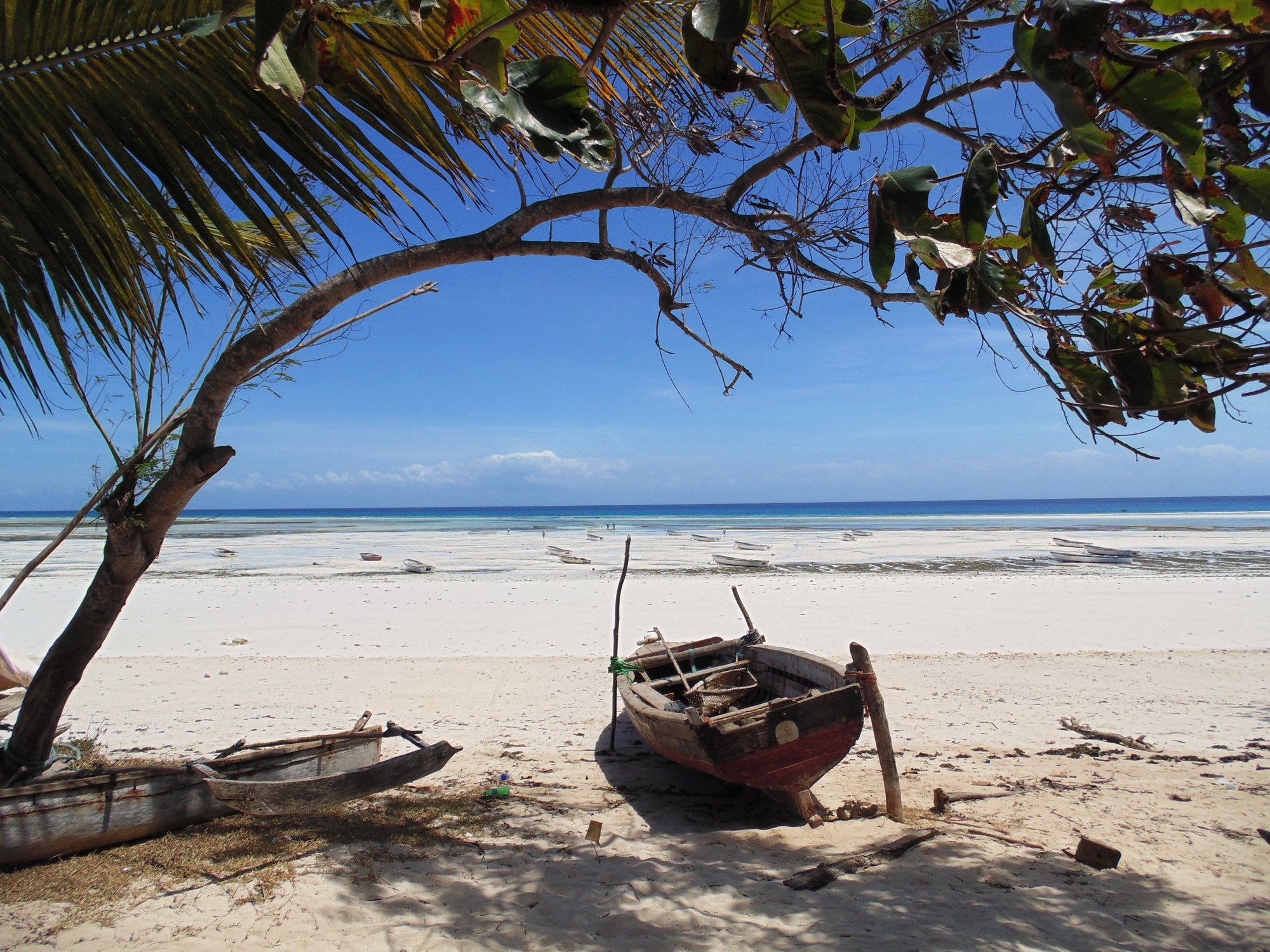 Traditional wooden fishing boats beached on the white sand at Kizimkazi on Zanzibar's far south coast, where the dawn dolphin trips into Menai Bay launch.