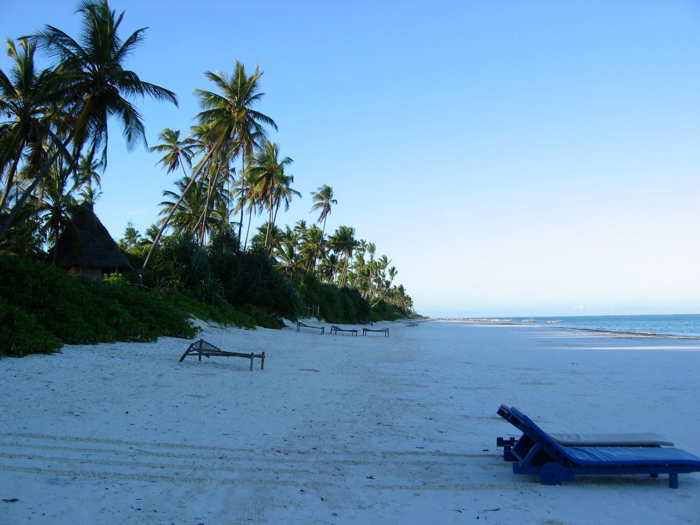 A wide, empty pale-sand beach backed by leaning coconut palms, the quiet low-tide character of the southeast coast around Bwejuu, Zanzibar, with a calm shallow lagoon and a thatched hut set back in the treeline.